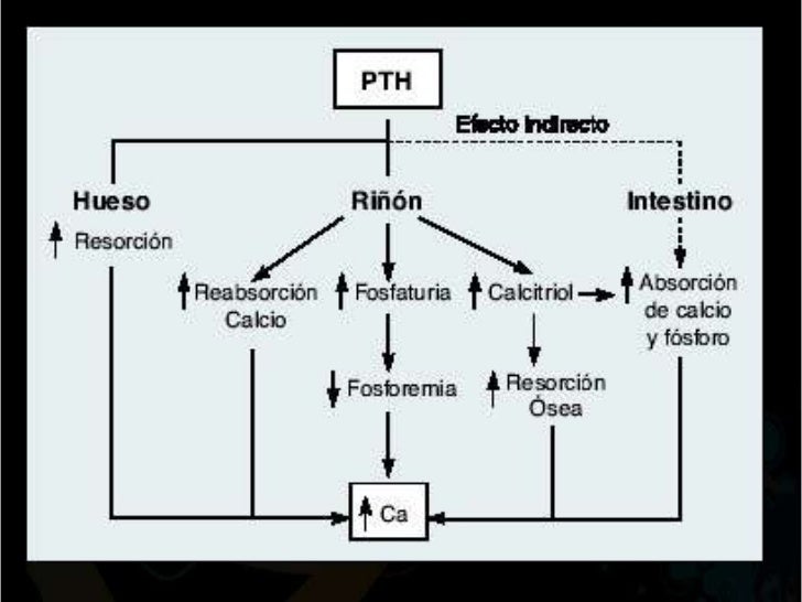 hiperparatiroidismo secundario